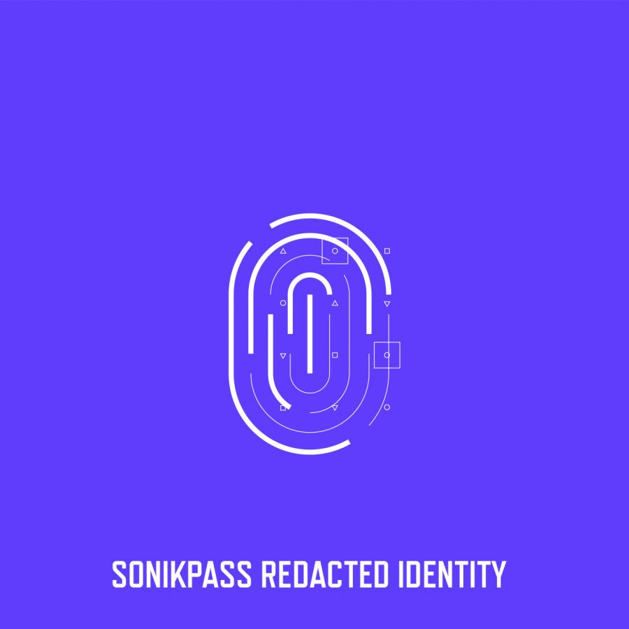 Sonikpass Awesome Brand Identity and Web Design