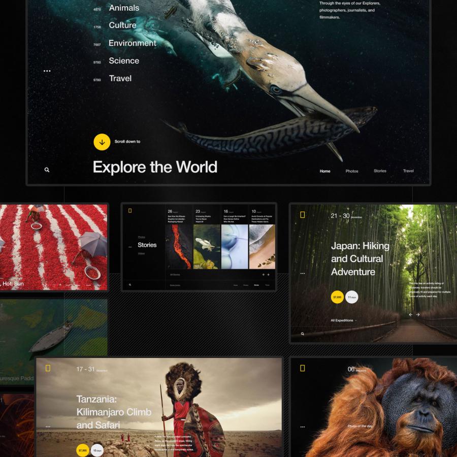 Web Design & UI/UX: National Geographic World Changing Intuitive Site