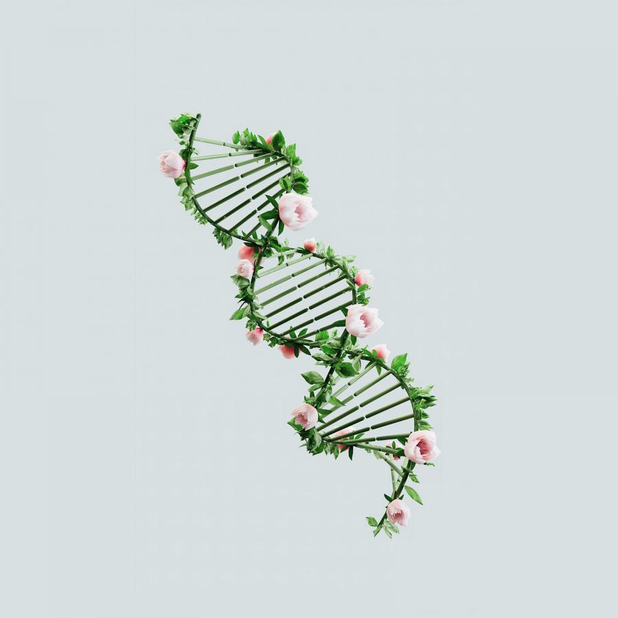 3D and AI: Nidia Dias's Illustrative Exploration of Genomics